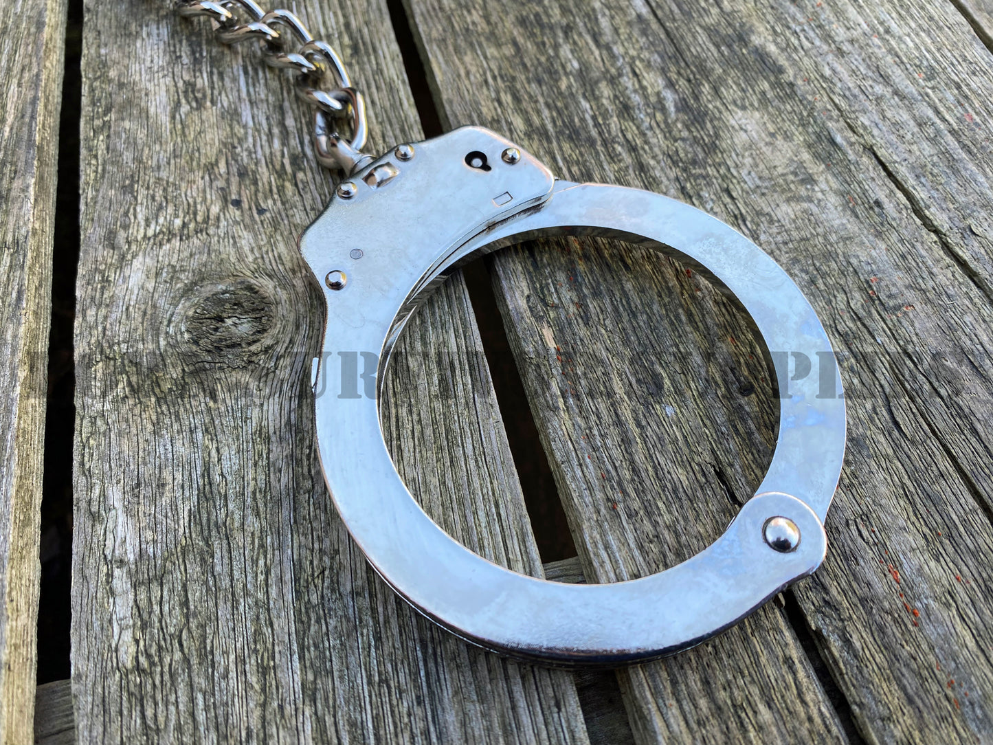 Stainless Steel Leg Irons