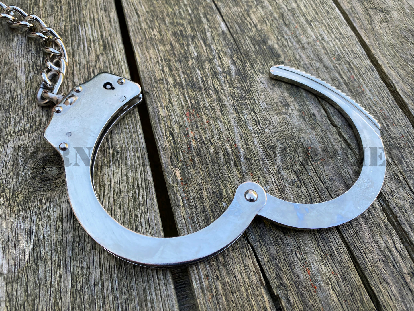 Stainless Steel Leg Irons