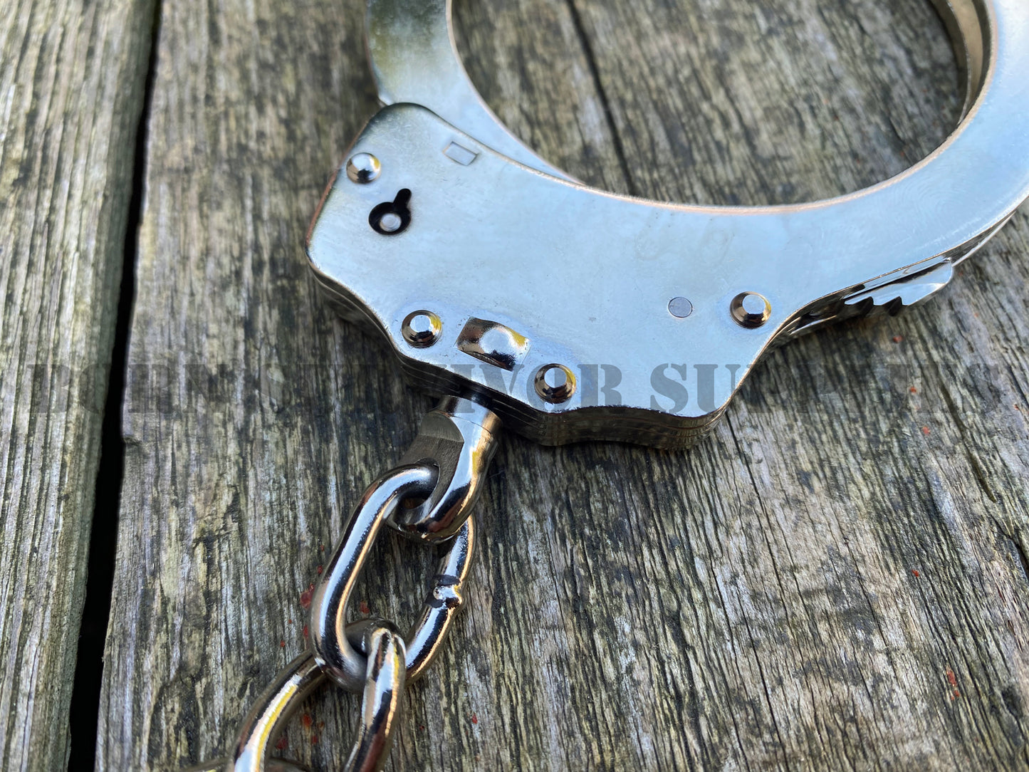 Stainless Steel Leg Irons