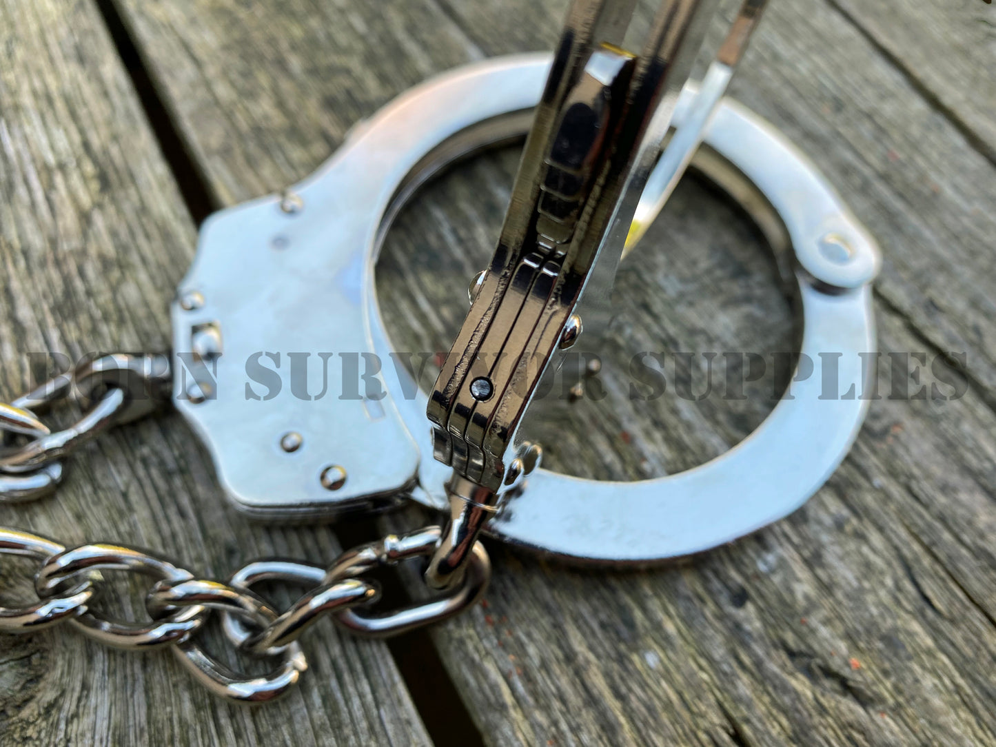 Stainless Steel Leg Irons